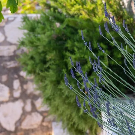 别墅 Villa Rastoni By Rastonivillas - Sunny Family Villa In The Best Part Of Corfu! Viggla