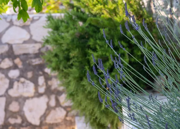 Vila Villa Rastoni By Rastonivillas - Sunny Family Villa In The Best Part Of Corfu! Viggla